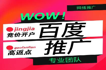 竞价广告的投放策略调整：基于数据反馈的实战案例